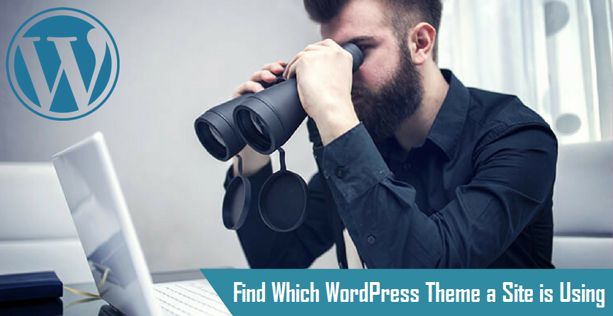 Find Which WordPress Theme a Site is Using 1