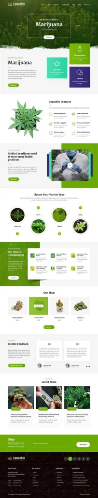 Medical Store WordPress Theme